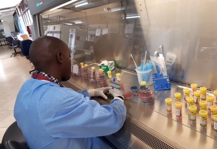 A scientist labels Petri dishes at a lab bench