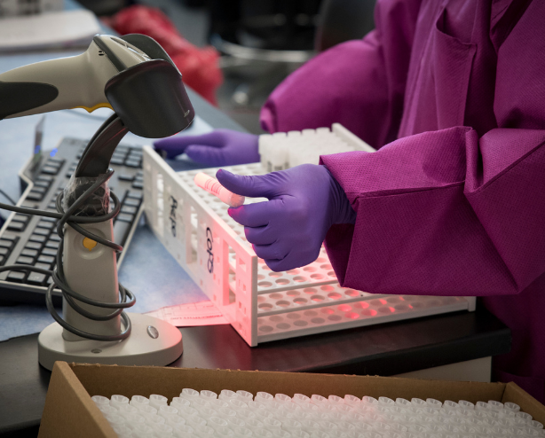 Lab technician works on samples