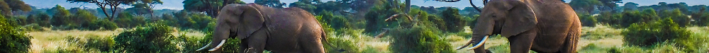 Photo of Tanzania